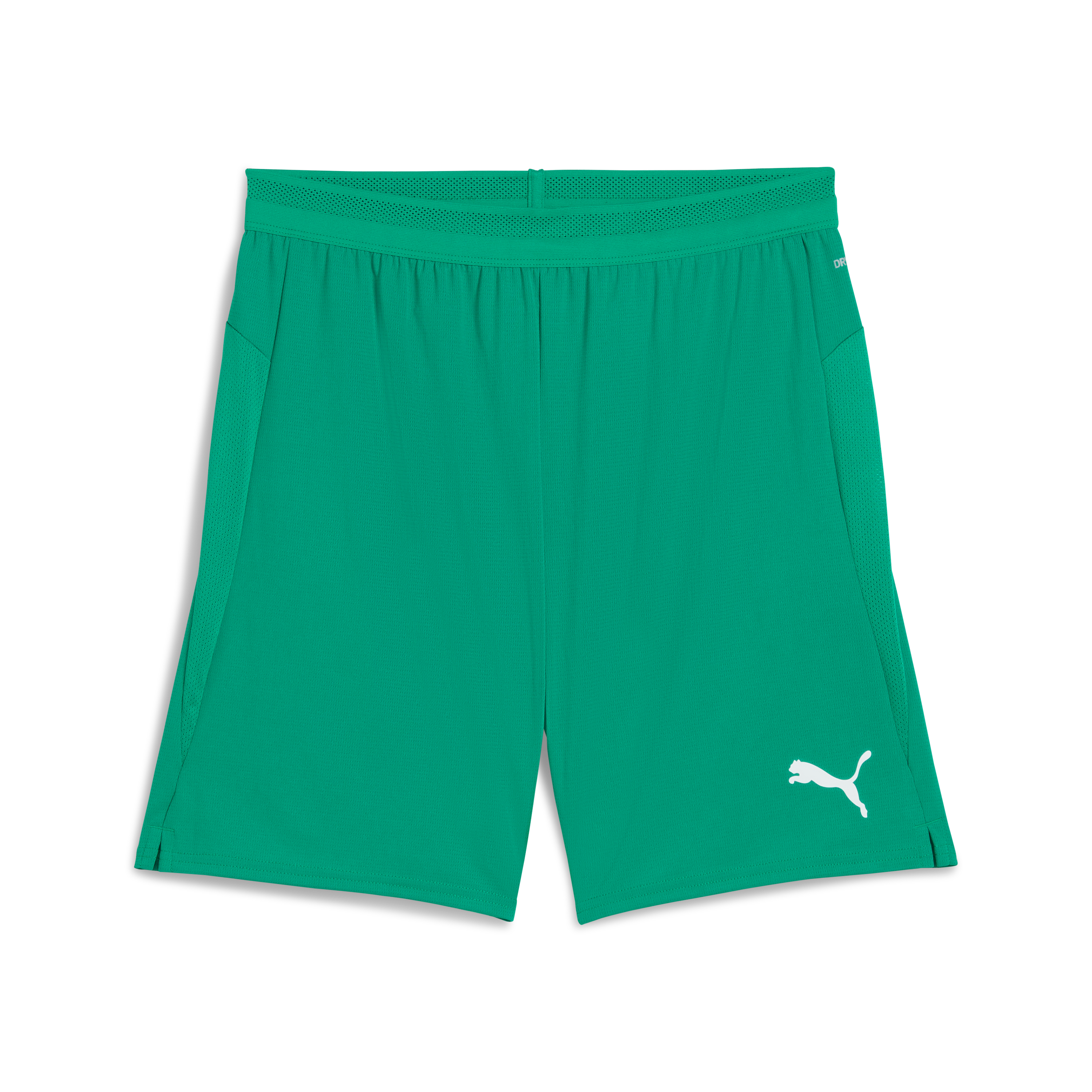 Puma teamCUP Shorts