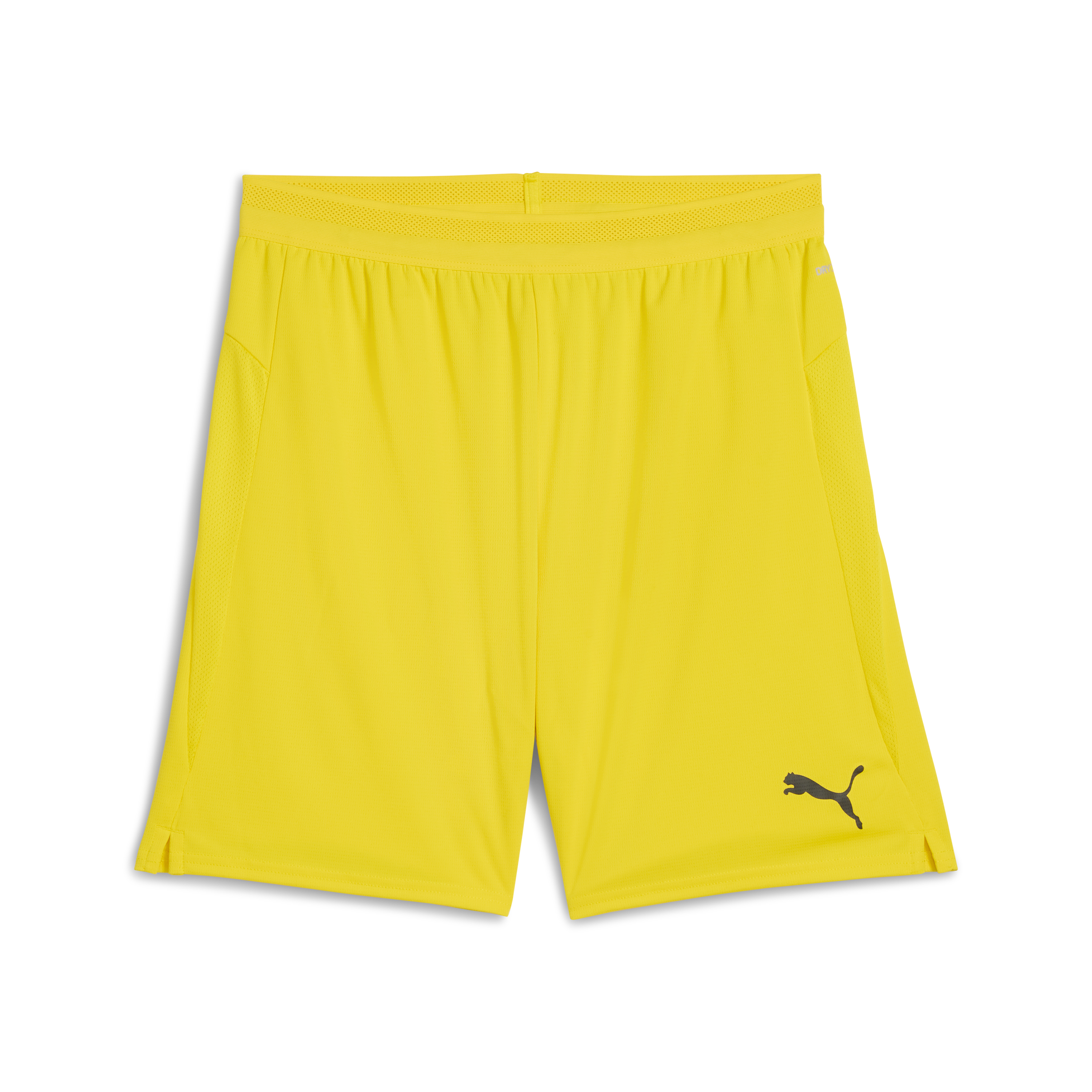 Puma teamCUP Shorts