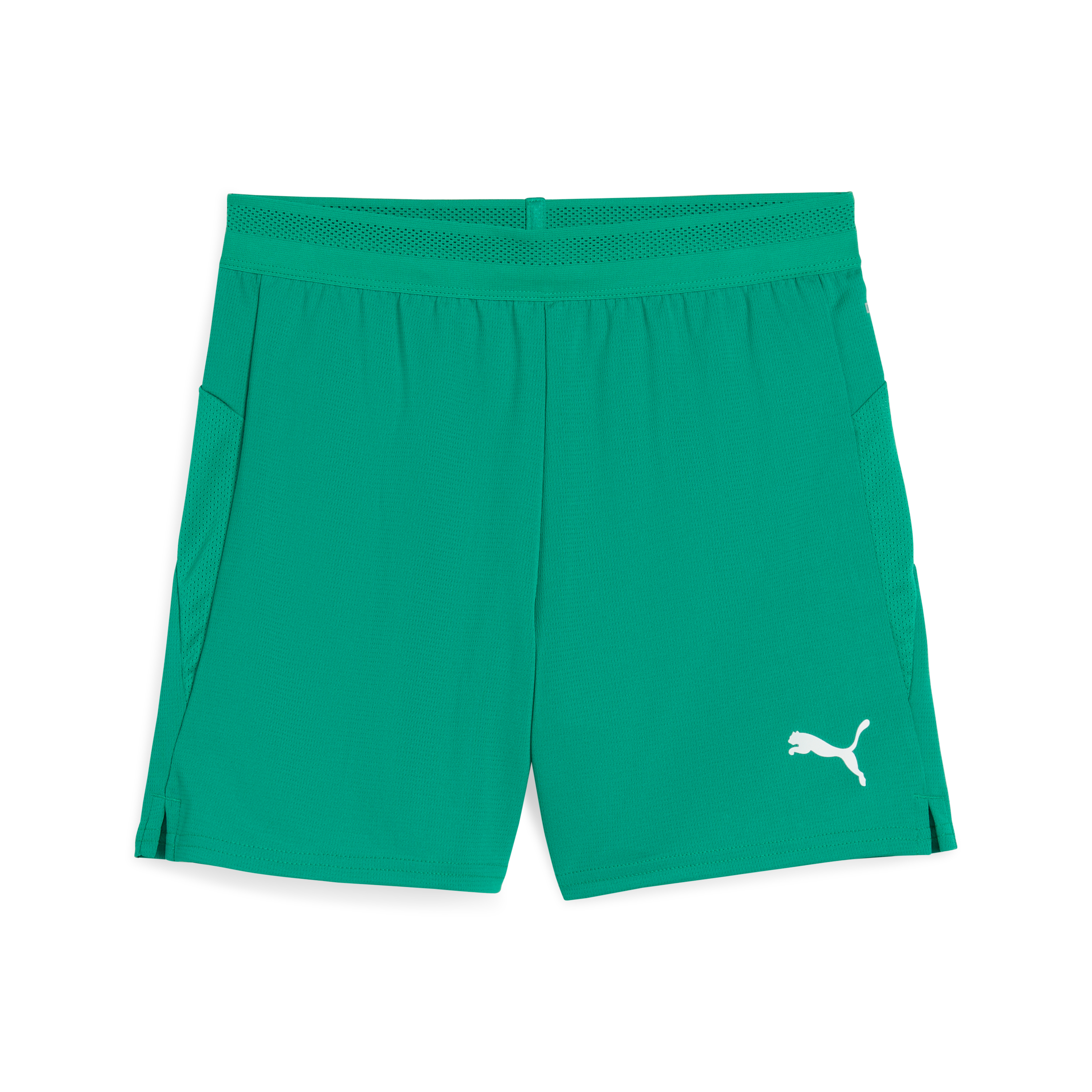 Puma teamCUP Shorts Jr