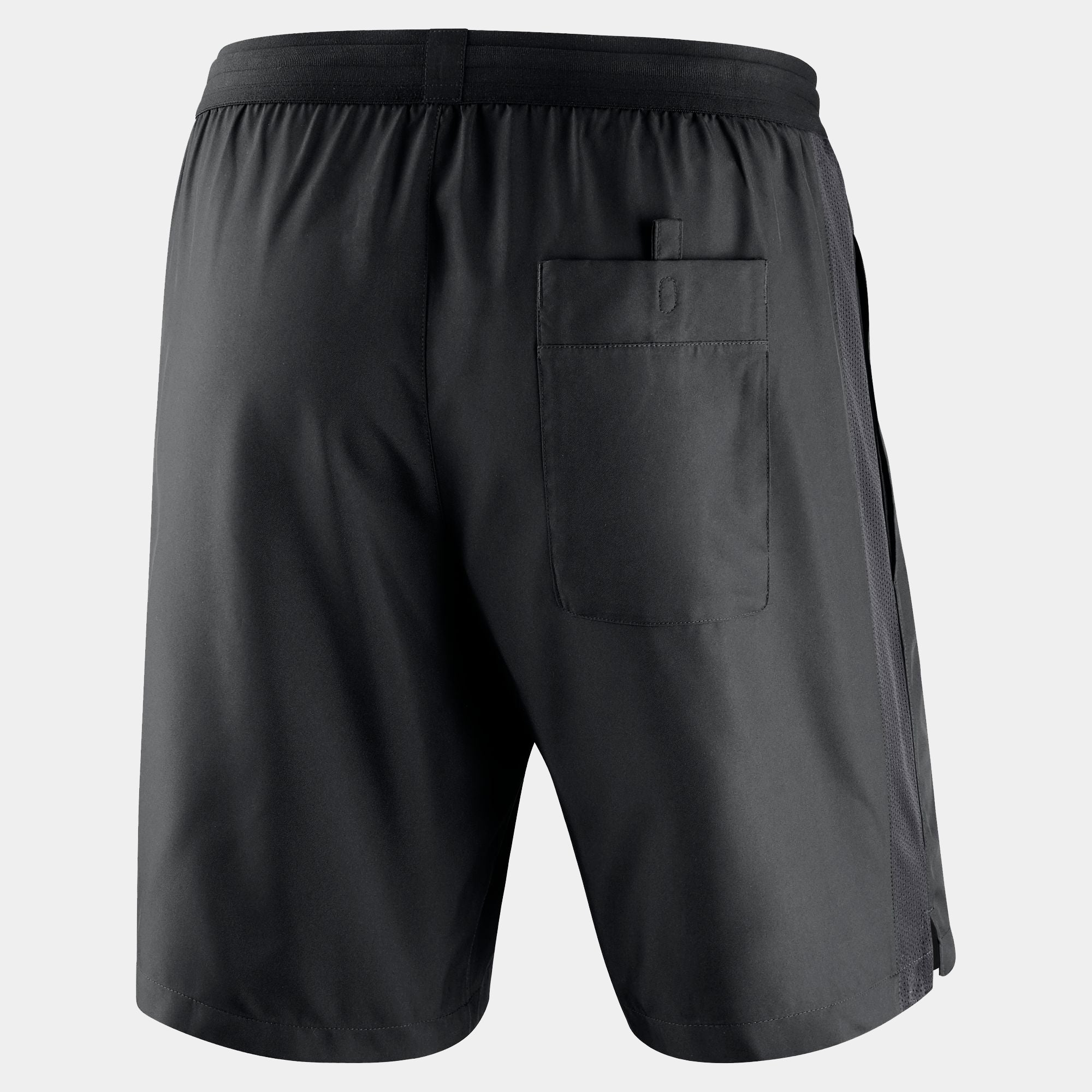 Nike Dry Referee Shorts