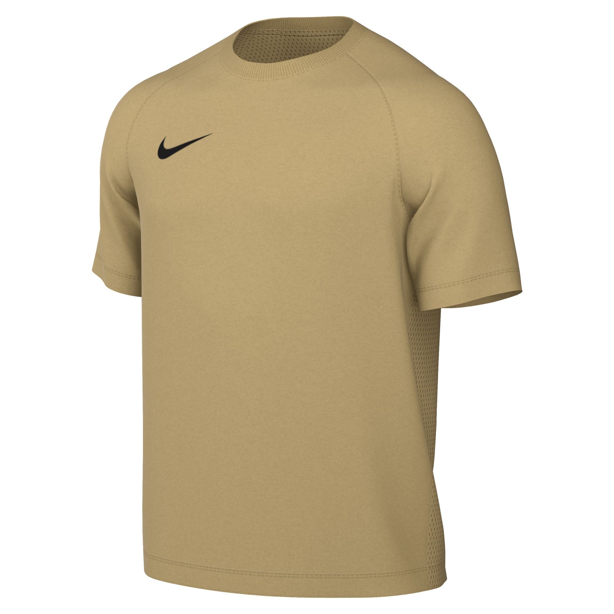 Nike Park VIII Jersey (Youth)