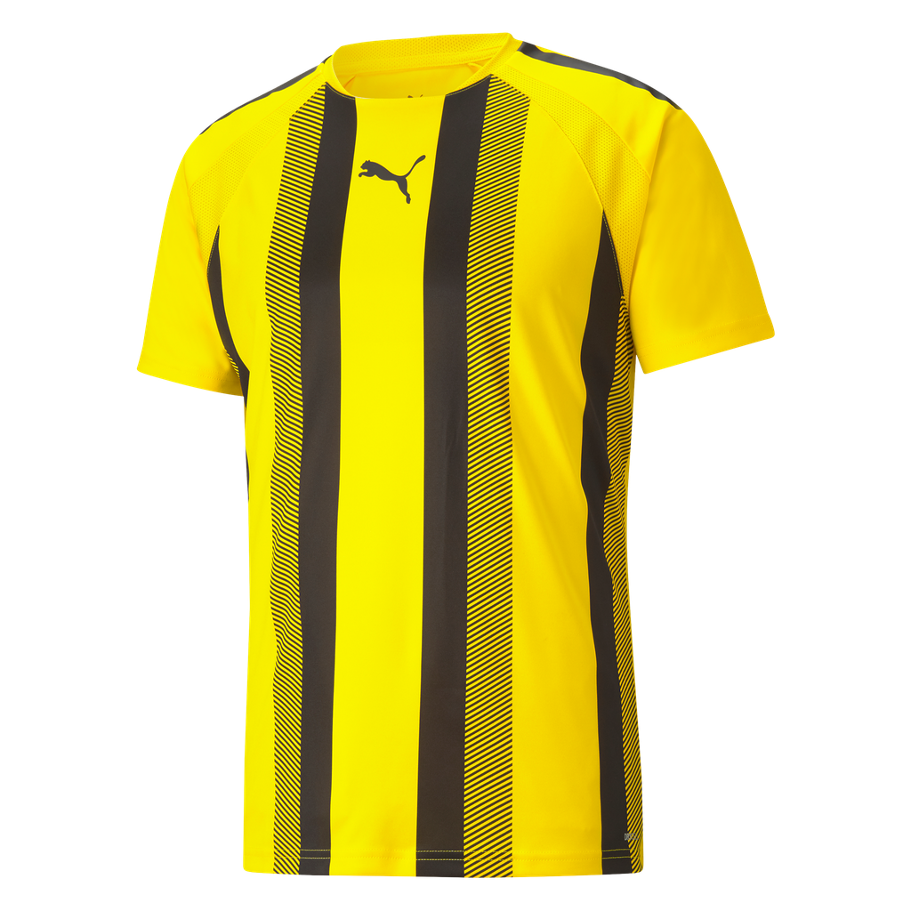 teamLIGA Striped Jersey