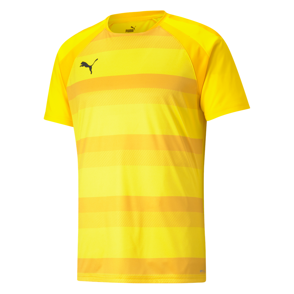 teamVISION Jersey