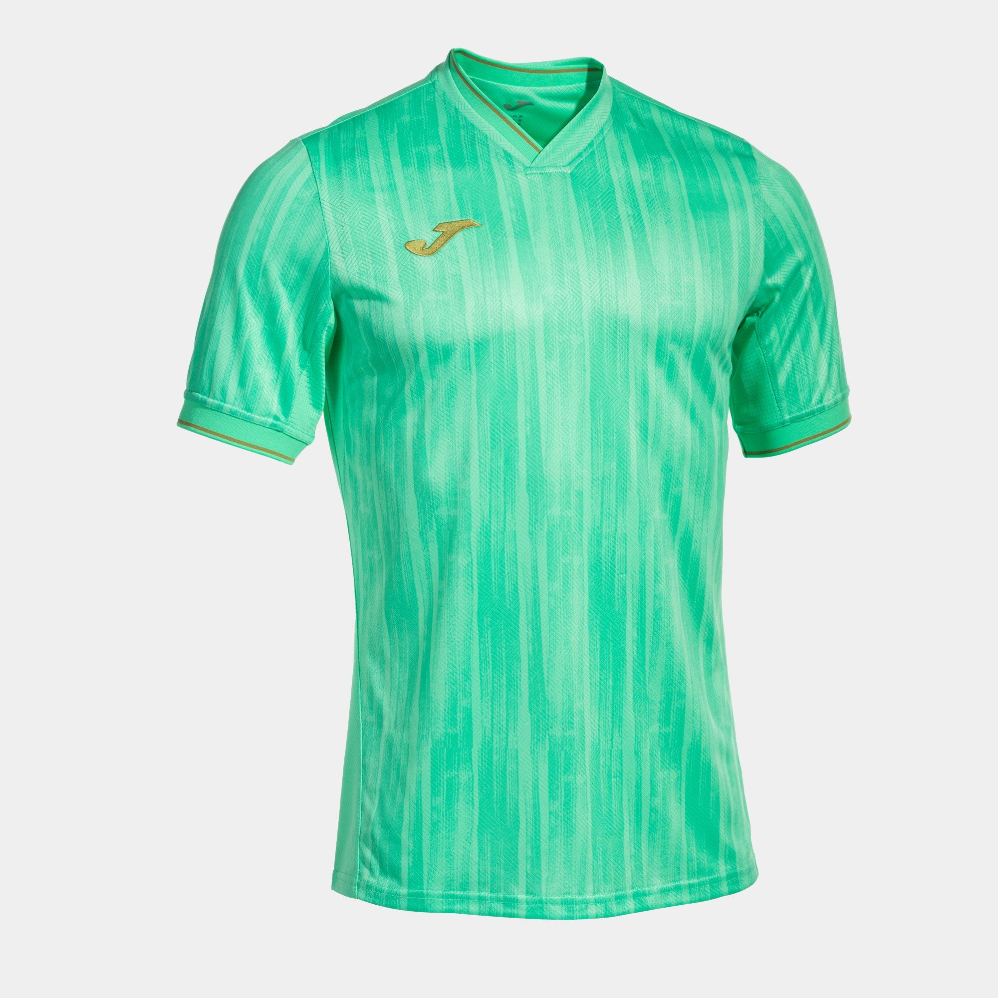 Joma Gold Vi Short Sleeve T-Shirt Green Gold