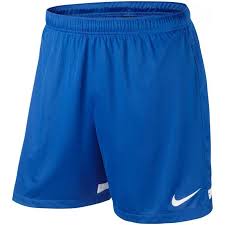 Nike Dri Fit Short Ii