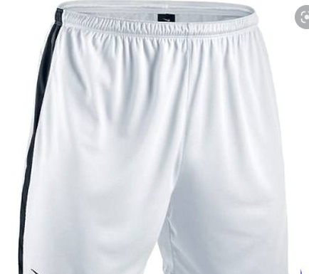 Nike Dri Fit Short
